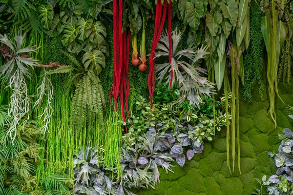 Háttér Zöld Növények Műanyagból Mesterséges Díszítőanyag — Stock Fotó