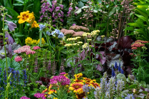 Dekorative Blumen Und Pflanzen Garten Landschaftsplanung Natürlicher Natürlicher Hintergrund Weicher — Stockfoto