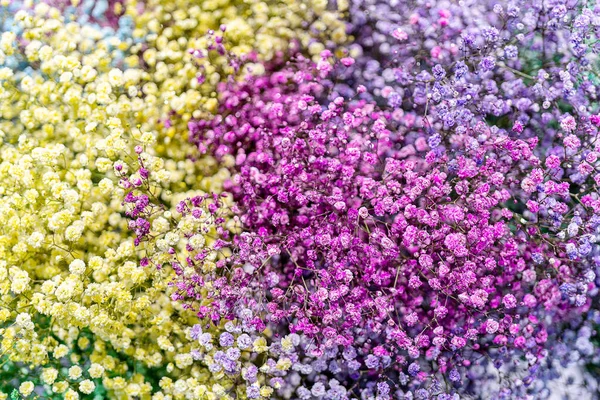 Прекрасні Маленькі Рожеві Жовті Квіти Натуральний Квітковий Фон — стокове фото