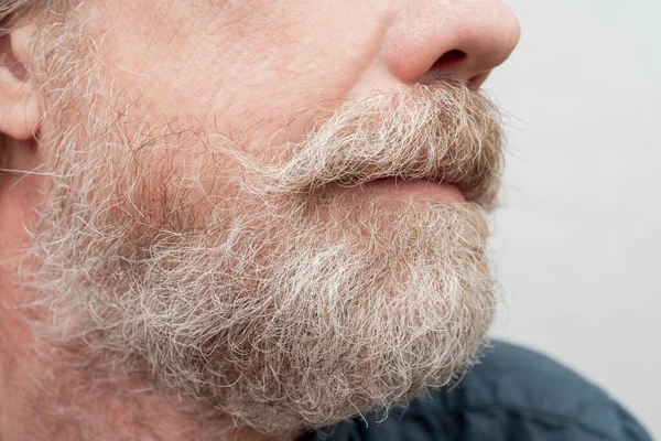 Een Grijze Baard Een Verwrongen Snor Van Een Oude Hipster — Stockfoto