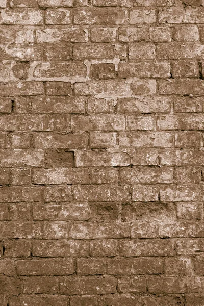 Brick Wall Texture Background — Stock Photo, Image