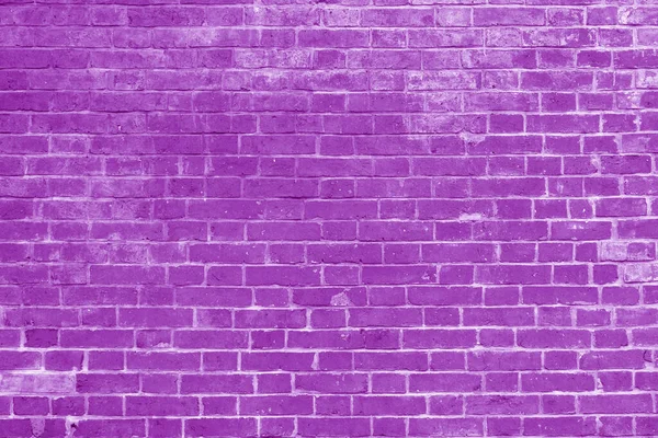 Pink Brick Wall Interior Modern Loft Background Photo Video Filming — Stock Photo, Image