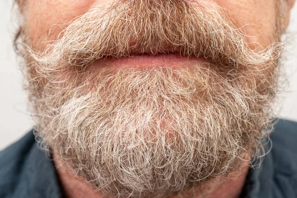 Uma Barba Cinzenta Bigode Torcido Velho Hipster — Fotografia de Stock