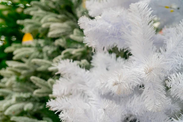 Gałęzie Białej Choinki Sprzedaż Choinek Supermarkecie Tło Świąteczne — Zdjęcie stockowe
