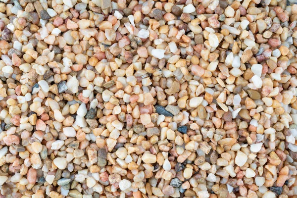 Background Sea Shells — Stock Photo, Image