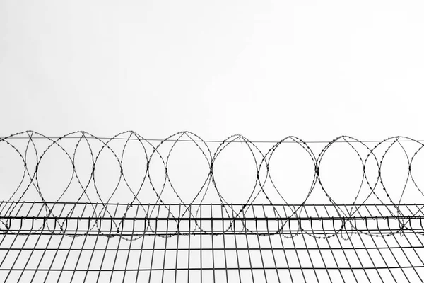 Metal Barbed Wire Prison Wall Symbol Restriction Freedom — Stock Photo, Image