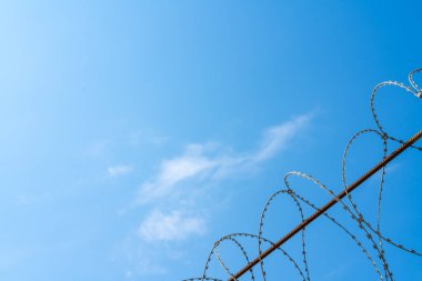 Mavi gökyüzüne karşı dikenli tel örgü. Bir yazı için mavi arkaplan. 