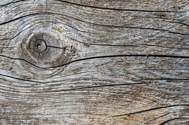 Eski kalaslar. Ahşap yüzeyin dokusu. 