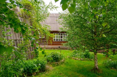 Ormandaki ahşap ev. Kulübelerin bireysel inşaatı. 