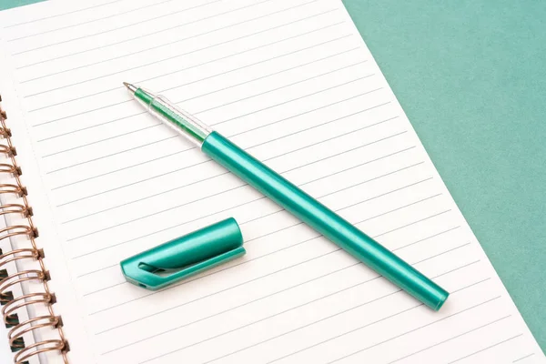 Green Fountain Pen Notepad Pages Preparing Scholarship Education Torment Creativity — Stock Photo, Image