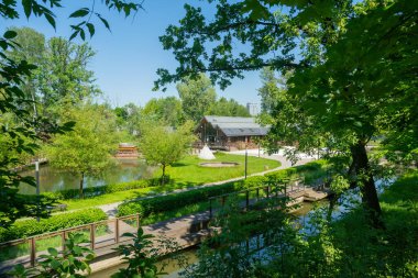 Güneşli bir günde yaz parkı ağaçları ve sokaklar. 