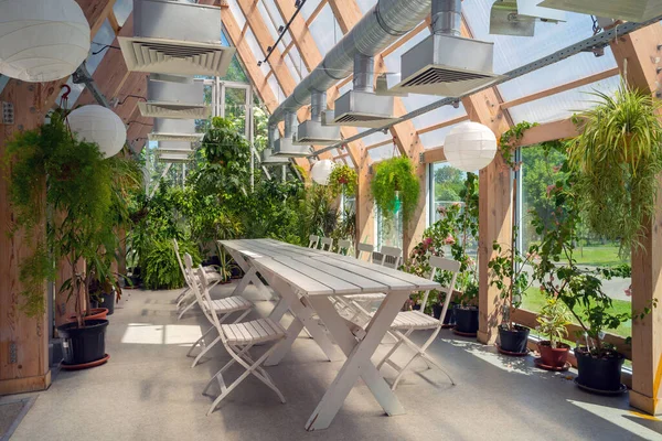 Green Plants Pavilion Glass Roof Modern Interior — Stock Photo, Image