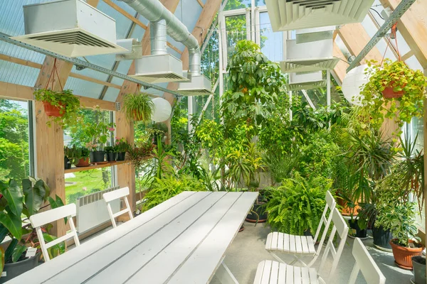 Green Plants Pavilion Glass Roof Modern Interior — Stock Photo, Image