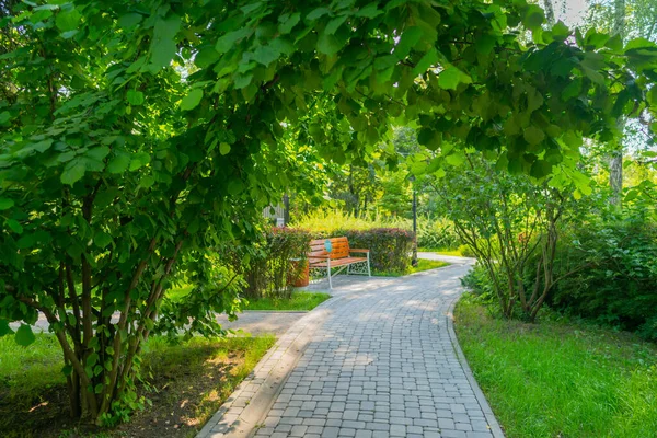 Güneşli Bir Günde Yaz Parkı Ağaçları Sokaklar — Stok fotoğraf