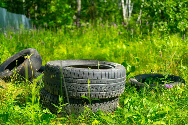 Pneus Borracha Velho Carro Uma Floresta Natural Verde Destruição Ecologia — Fotografia de Stock