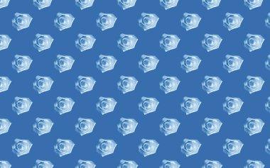 Güzel beyaz gül çiçekleri. Dikensiz gül deseni. Çiçek doğal arka plan. 