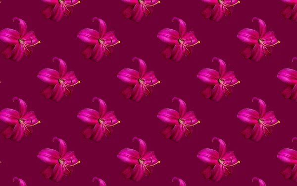 Hermosas Flores Lirios Rosados Patrón Sin Costuras Flor Lirio Florecen —  Fotos de Stock