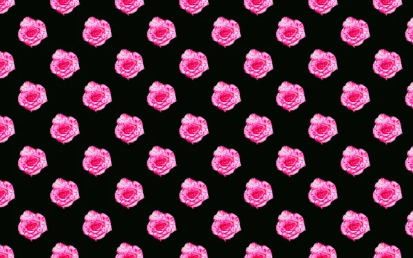 Gyönyörű Rózsaszín Rózsa Virágok Virágzó Rózsák Zökkenőmentes Minta Virágos Természetes — Stock Fotó