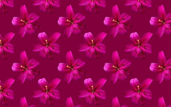 Hermosas Flores Lirios Rosados Patrón Sin Costuras Flor Lirio Florecen —  Fotos de Stock