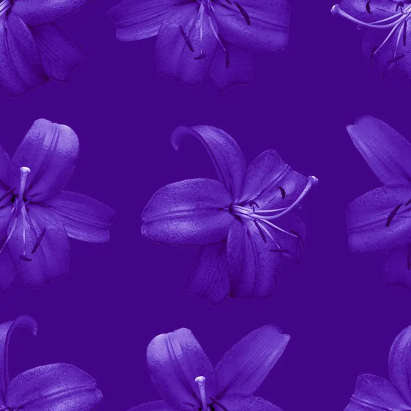 Hermosas Flores Lirios Violetas Patrón Sin Costuras Flor Lirio Florecen —  Fotos de Stock