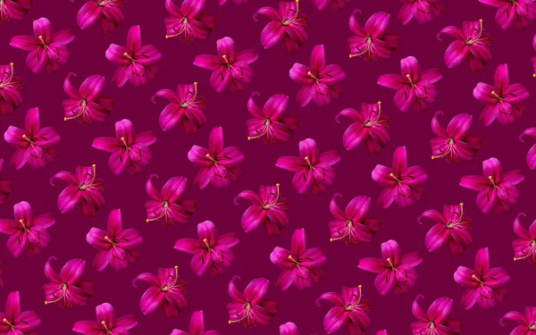 Lindas Flores Lírios Rosa Padrão Sem Costura Flor Lírio Flor — Fotografia de Stock