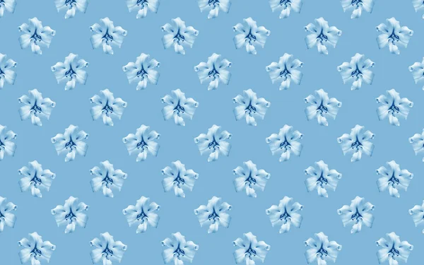 Beautiful Flowers Blue Lilies Seamless Pattern Lily Flower Bloom Floral — Stock Photo, Image