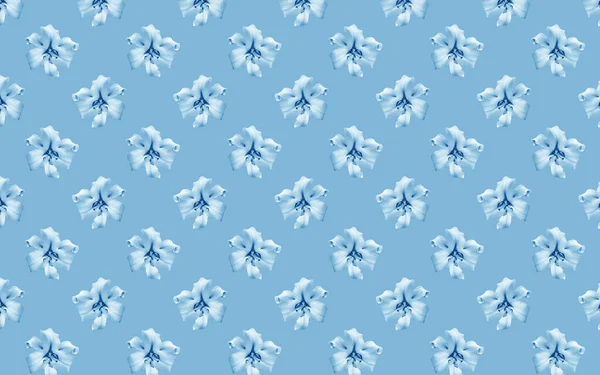 Beautiful flowers blue; lilies. Seamless pattern of Lily flower bloom. Floral natural background.