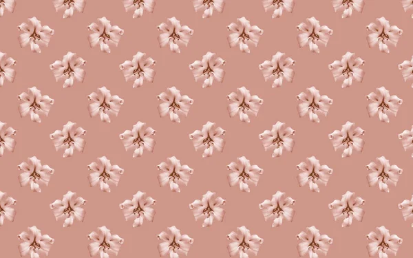 Beautiful Flowers Lilies Seamless Pattern Lily Flower Bloom Floral Natural — ストック写真