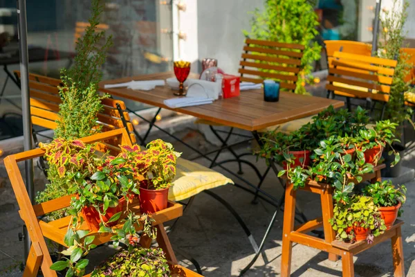 Interior Summer Street Cafe Bright Sunny Day City — Stock Photo, Image