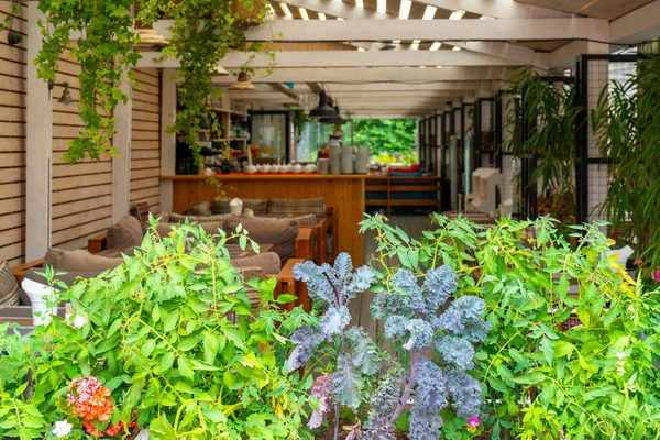 Moskova. - Rusya. Ağustos 01 2021. Şehirde bir yazlık kafe.. 