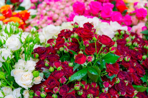 Close Colorful Roses Bouquets Decoration Sale — Stock Photo, Image