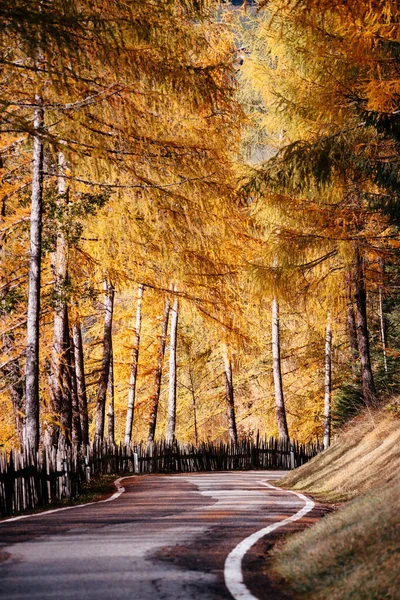 Funes Valley, Trentino, Italy. Autumn landscape road fall colors. — Stock Photo, Image
