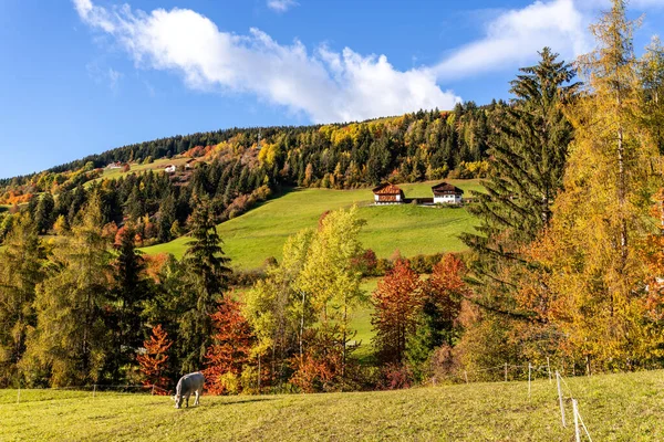 Valle de Funes, Trentino, Italia. Paisaje otoñal con colores de otoño. — Foto de Stock