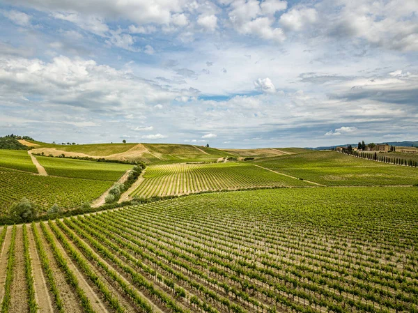 Flygfoto över vingårdar i Chianti-regionen, Toscana, Italien — Stockfoto