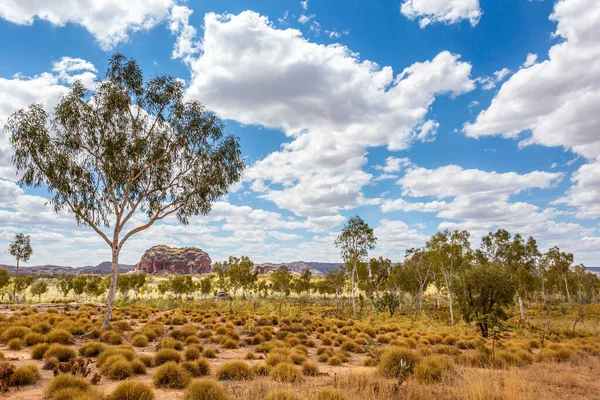 Bungle Bungles, Park Narodowy Purnululu, Kimberley, Australia Zachodnia — Zdjęcie stockowe