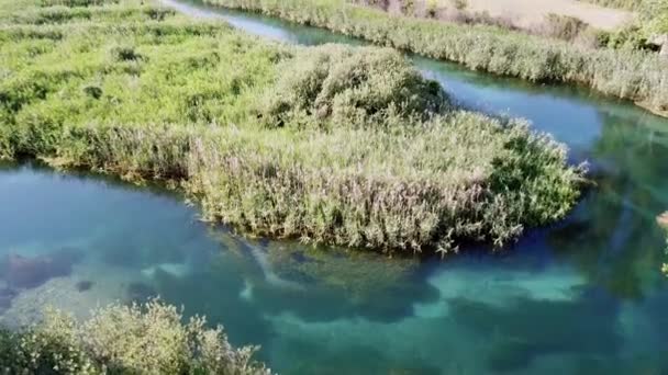 Tirino rivier, helder blauw water, uitzicht vanuit de lucht. Abruzzo, Italië — Stockvideo
