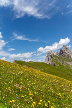 Yazın Seceda Dağı, çiçekler ve manzara. Dolomitler Alpler, İtalya