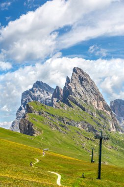 Yazın Seceda Dağı, çiçekler ve manzara. Dolomitler Alpler, İtalya