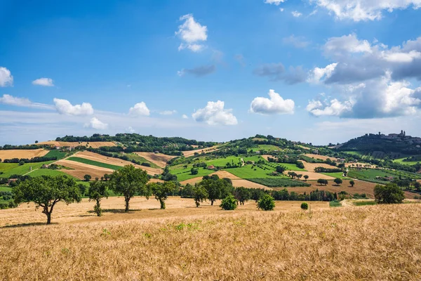 Περιφέρεια Marche, Ιταλία. Αγροτικό τοπίο — Φωτογραφία Αρχείου