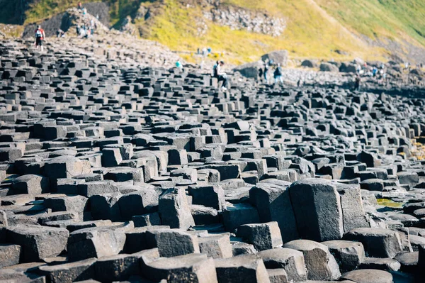 Giants Causeway con sus icónicas columnas de basalto. Condado de Antrim, región del Ulster, Irlanda del Norte, Reino Unido. —  Fotos de Stock