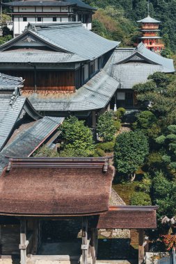 Japon tapınağı kompleksi, yemyeşil ormanlara yuva yapmış. Kumano Kodo.