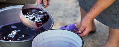 Şarap üreticisi varillere taşınmak için üzüm suyu döker..