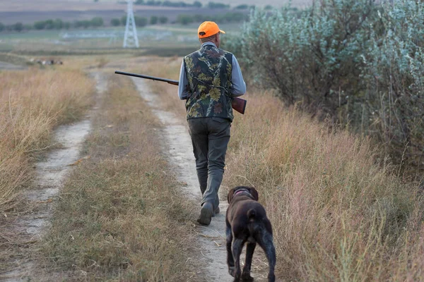 Faisan Chasseur Avec Fusil Chasse Marchant Dans Une Prairie — Photo