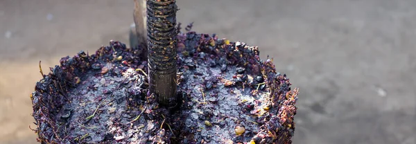 Vinpress Med Röd Must Och Spiralskruv Framställning Traditionella Italienska Viner — Stockfoto