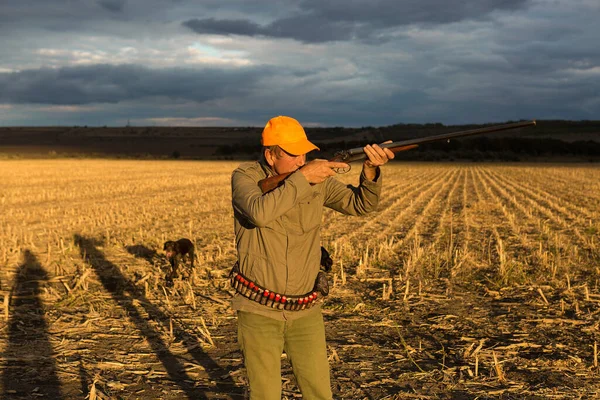 Cacciatore Fagiano Con Pistola Cani Sullo Sfondo Drammatico Tramonto — Foto Stock