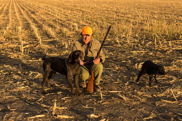 Cazador Faisanes Con Arma Perros Contra Telón Fondo Una Dramática — Foto de Stock