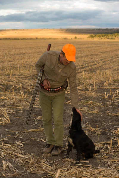 Pheasant hunter with a gun and dogs against the backdrop of a dramatic sunset.