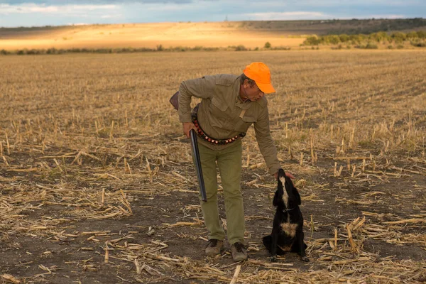 Silahlı Bir Sülün Avcısı Dramatik Bir Günbatımının Arka Planında Köpekler — Stok fotoğraf