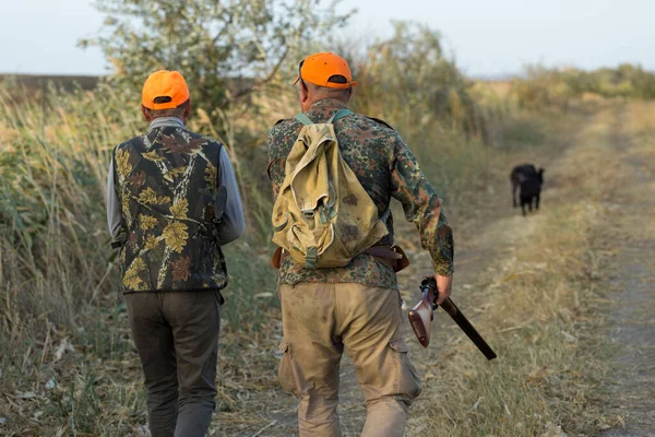 Chasseurs Faisans Avec Fusil Chasse Marchant Dans Une Prairie — Photo