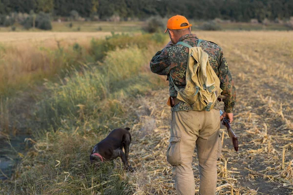 Fasanenjäger Läuft Mit Schrotflinte Durch Eine Wiese — Stockfoto